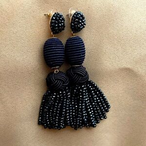 Elegant Navy Beaded Tassel Earrings
